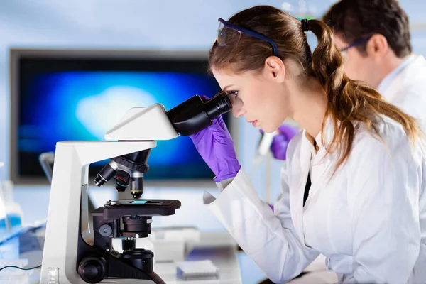 Cientista da vida pesquisando em laboratório genético . — Fotografia de Stock