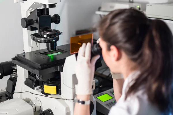 Yaşam bilimi araştırmacısı genetik bilim laboratuvarında mikroskop yapıyor.. — Stok fotoğraf