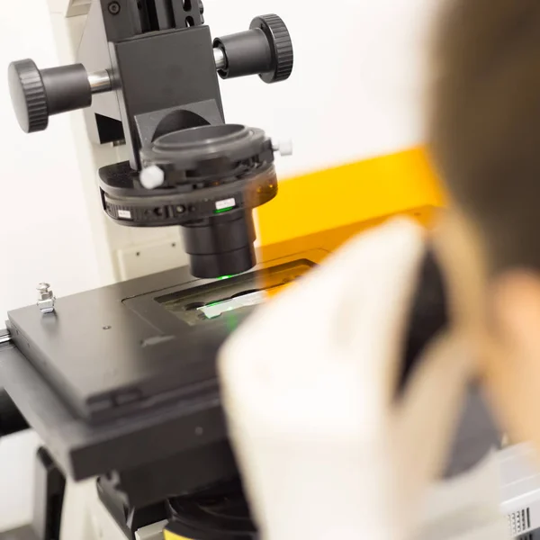 Yaşam bilimi araştırmacısı genetik bilim laboratuvarında mikroskop yapıyor.. — Stok fotoğraf