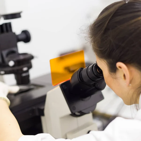 Microscópio do pesquisador de ciências da vida em laboratório científico genético. — Fotografia de Stock