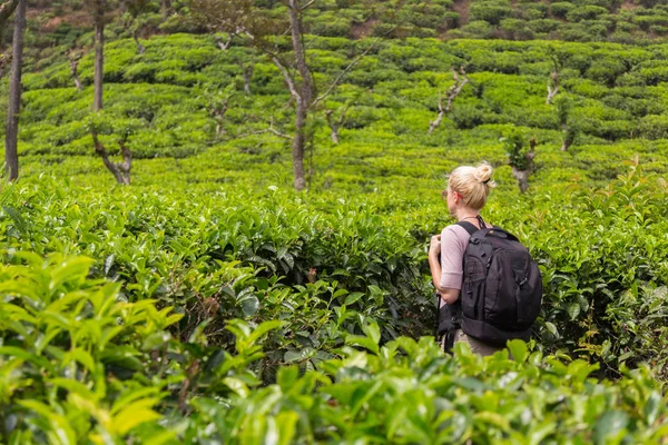 Kadın turist çay tarlaları, Sri Lanka, güzel doğanın keyfini.