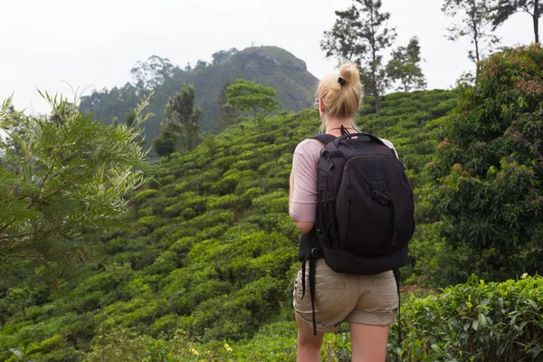 Ženské turisty těší krásná příroda čajových plantáží, Srí Lanka. — Stock fotografie