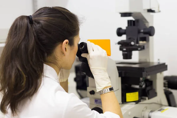 Microscopía del investigador en ciencias biológicas en laboratorio científico genético. — Foto de Stock