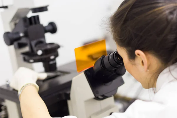 Microscoping del ricercatore di scienze biologiche nel laboratorio scientifico genetico. — Foto Stock