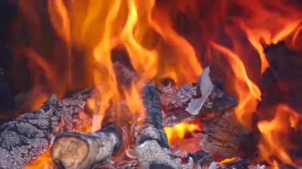 Oheň v krbu. — Stock video