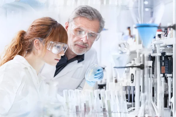 Health care researchers working in scientific laboratory. — Stock Photo, Image