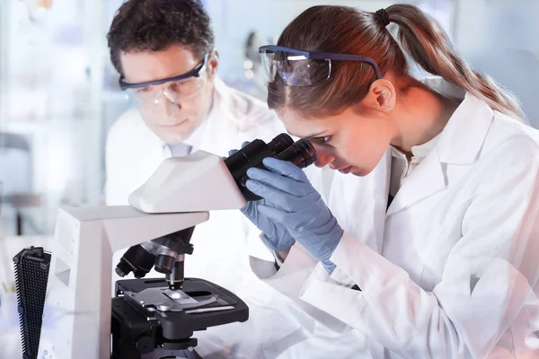 Científico de la vida investigando en el laboratorio. — Foto de Stock