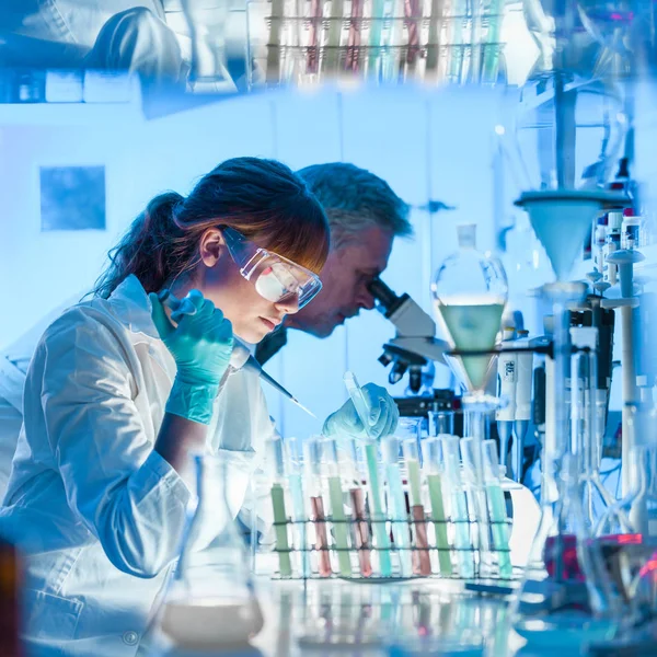 Investigadores sanitarios que trabajan en laboratorio científico. —  Fotos de Stock