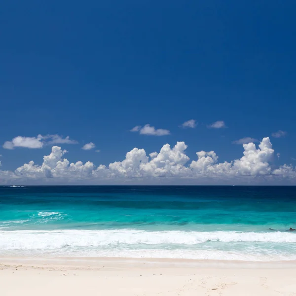 Playa tropical con arena blanca, agua esmeralda, cielo azul con nubes . — Foto de Stock