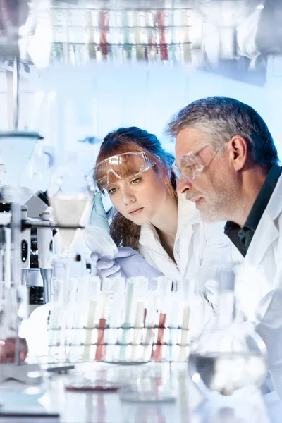 Investigadores sanitarios que trabajan en laboratorio científico. — Foto de Stock