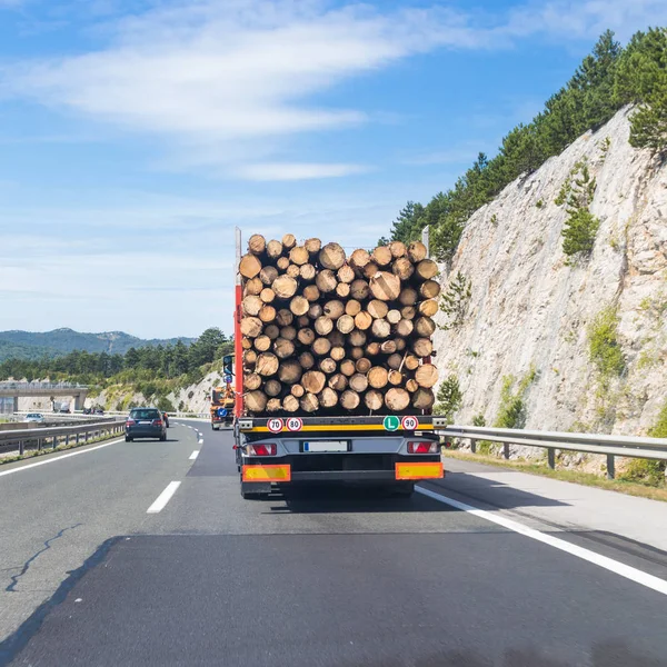 고속도로에 나무를 운반 하는 트럭. — 스톡 사진