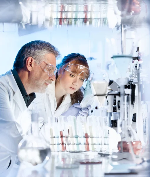 Investigadores sanitarios que trabajan en laboratorio científico. —  Fotos de Stock