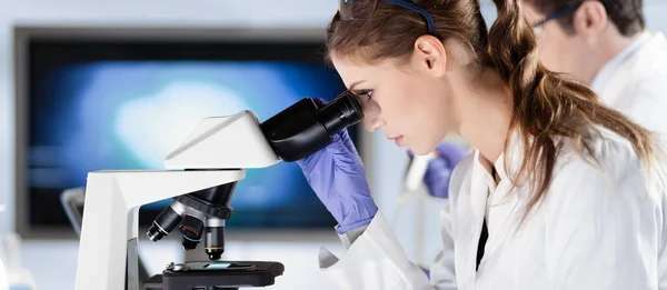 Científico de la vida investigando en el laboratorio. — Foto de Stock