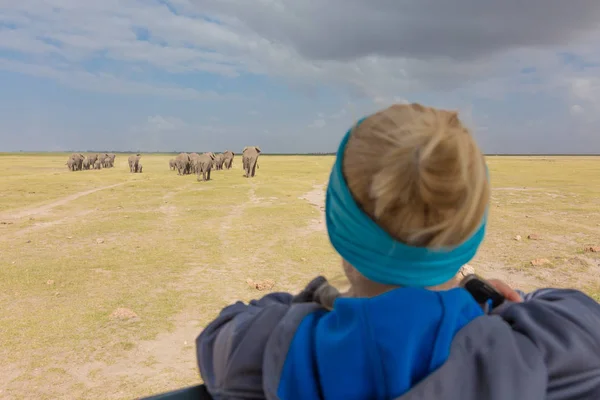 Mujer observando manada de elefantes en safari de fauna africana. Amboseli, Kenia . — Foto de Stock
