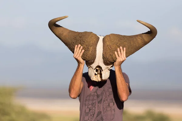 Hombre sosteniendo gran cráneo de búfalo africano usándolo como una máscara en la naturaleza en safari de vida silvestre africana . —  Fotos de Stock