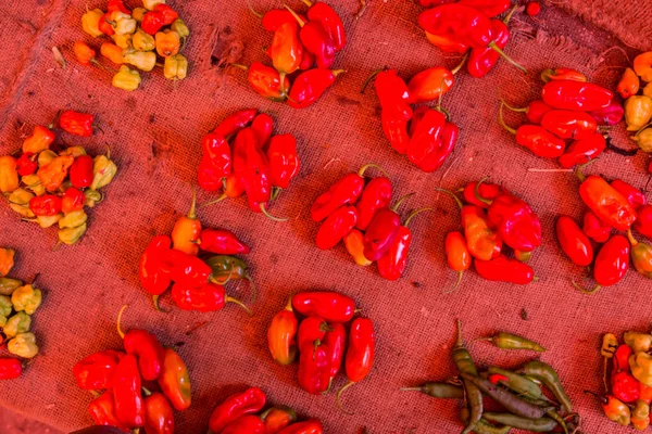 Red paprika being sold at local food market. — Stock Photo, Image