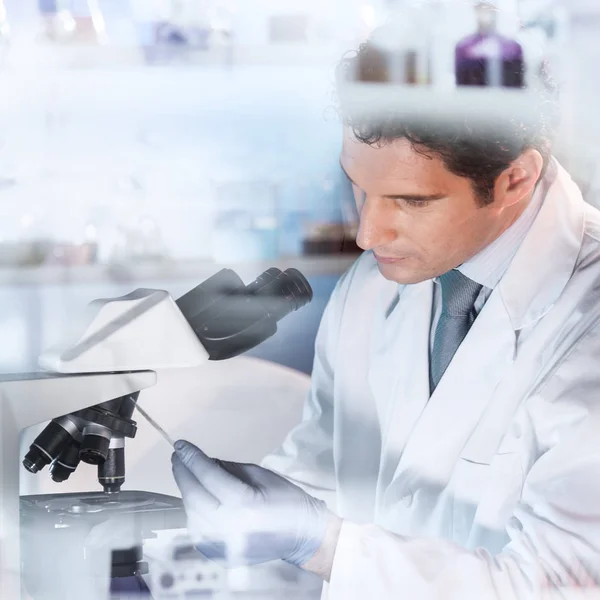 Cientista da vida pesquisando no laboratório. — Fotografia de Stock