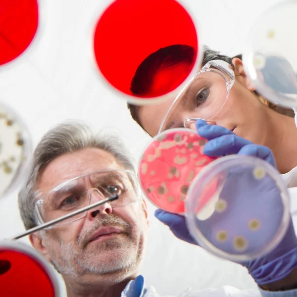 Life scientists researching in the health care laboratory. — Stock Photo, Image