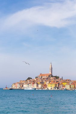 Panoramik kent Rovinj, Hırvatistan üzerinde.