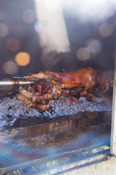 Traditional balkan dish - whole piglet grilled on the open fire. — Stock Photo, Image