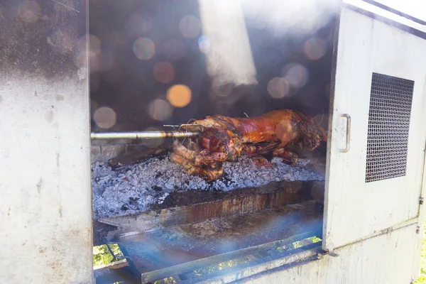 Prato balkan tradicional - leitão inteiro grelhado no fogo aberto . — Fotografia de Stock