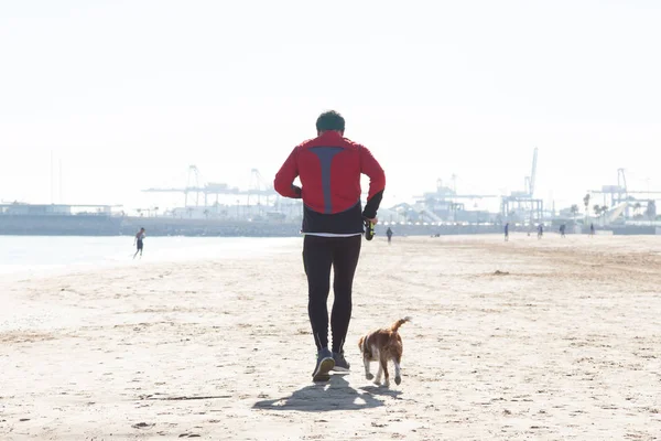 Starszy mężczyzna wykonując na plaży z jego pies biegnąc obok niego. — Zdjęcie stockowe