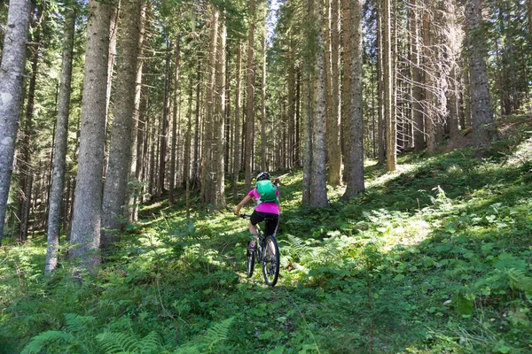 Active sporty woman riding mountain bike on forest trail . — Stock Photo, Image
