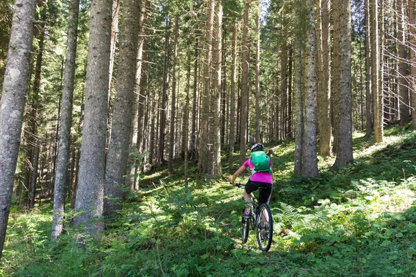 Active sporty woman riding mountain bike on forest trail . — Stock Photo, Image