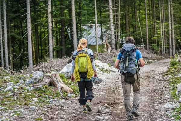 两个年轻的活跃夫妇走在森林小径路径的后方视图. — 图库照片