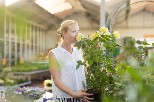 Florister kvinna som arbetar med blommor på växthus. — Stockfoto