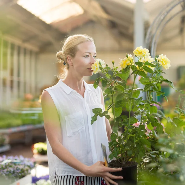 Florists woman working with flowers at greenhouse. — Stock Photo, Image