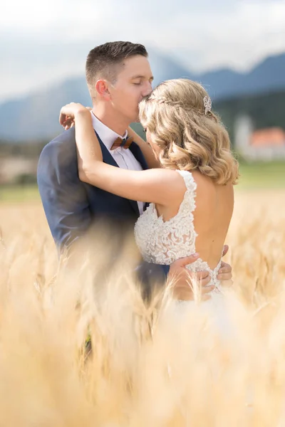 Novio abrazando a la novia tiernamente y la besa en la frente en el campo de trigo en algún lugar en el campo esloveno. —  Fotos de Stock