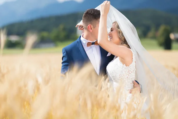 Noivo abraça noiva ternamente enquanto o vento sopra seu véu no campo de trigo em algum lugar no campo esloveno . — Fotografia de Stock