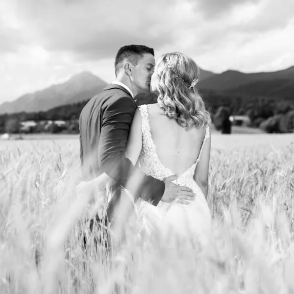 Sposa e sposo baciare e abbracciare teneramente nel campo di grano da qualche parte nella campagna slovena . — Foto Stock