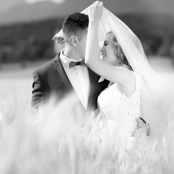 Groom étreint la mariée tendrement tandis que le vent souffle son voile dans le champ de blé quelque part dans la campagne slovène . — Photo