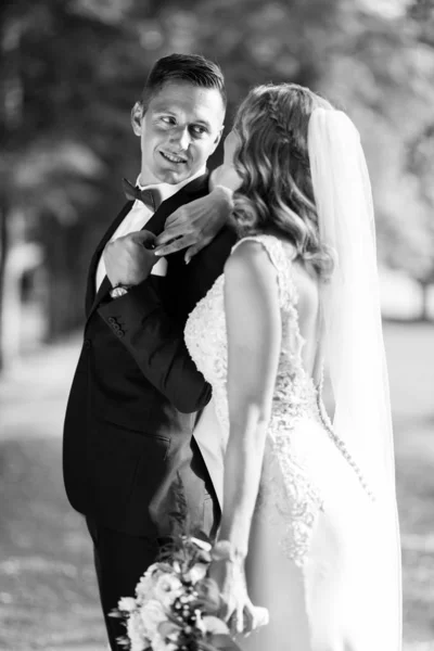 Noiva e noivo abraçando ternamente posando durante foto tiro no parque. — Fotografia de Stock