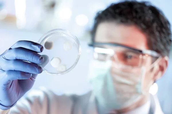 Forskare verksam vid laboratoriet för utveckling av koronavirusvaccin. — Stockfoto