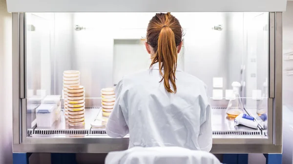 Female scientist working with laminar flow at corona virus vaccine development laboratory research facility. — Stock Photo, Image