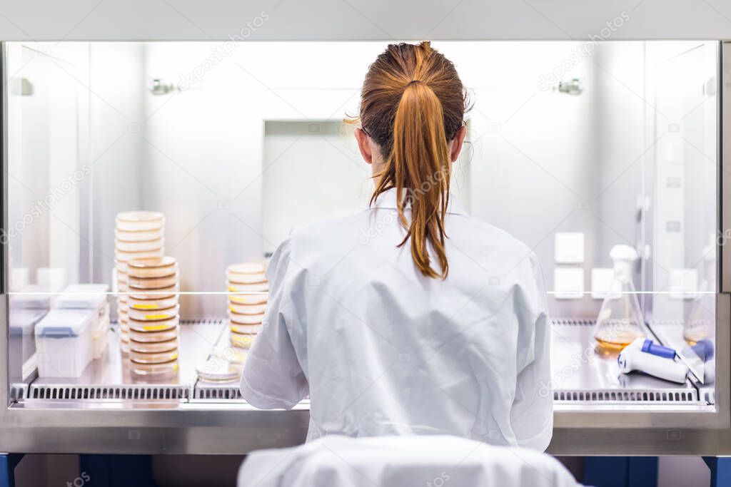 Female scientist working in corona virus vaccine development laboratory research facility.