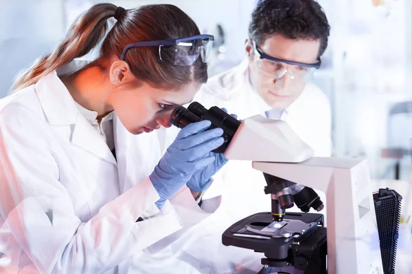 Jovens pesquisadores pesquisando em laboratório de ciências da vida. — Fotografia de Stock