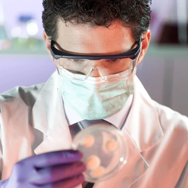 Cientista que trabalha no laboratório de desenvolvimento de vacinas contra o vírus da corona. — Fotografia de Stock