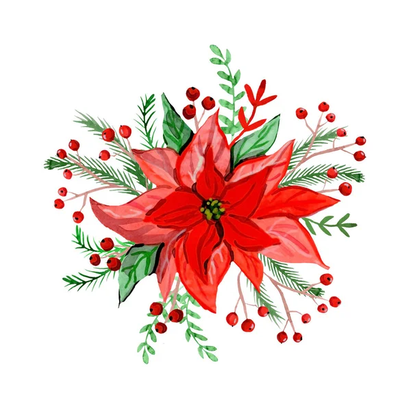 Різдвяна Пуансетія Червоні Ягоди — стокове фото