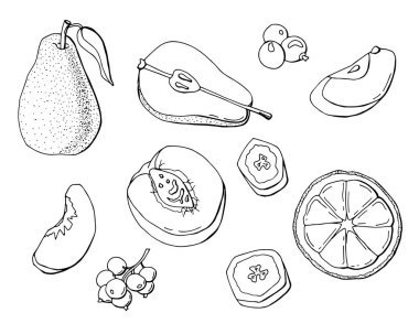 meyve seti siyah beyaz, karalama, izole edilmiş beyaz, stok illüstrasyon