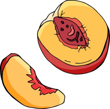 Şeftali ve dilimi. Çizgi film tek vektör illüstrasyonu. Beyaz arka planda izole edilmiş. Stok illüstrasyonu.