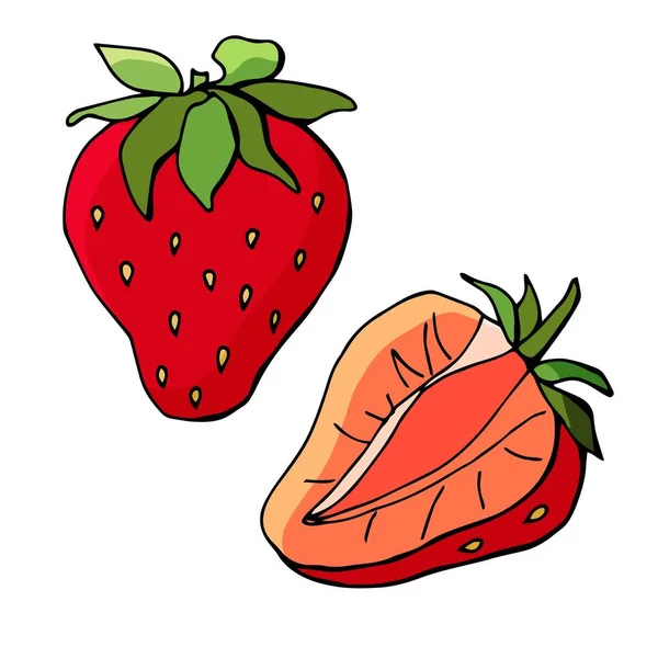 Hele Sectionele Aardbeien Vector Cartoon Illustratie Geïsoleerd Wit Voorraadillustratie — Stockvector