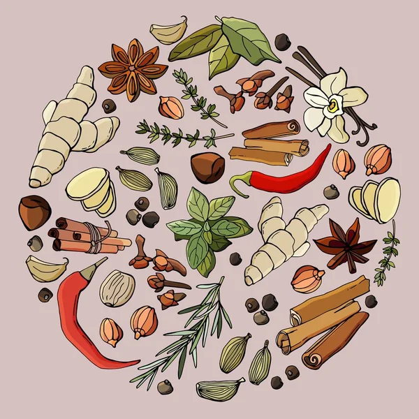 Conjunto Especias Hierbas Círculo Jengibre Albahaca Chile Nueces Romero Cardamomo — Archivo Imágenes Vectoriales