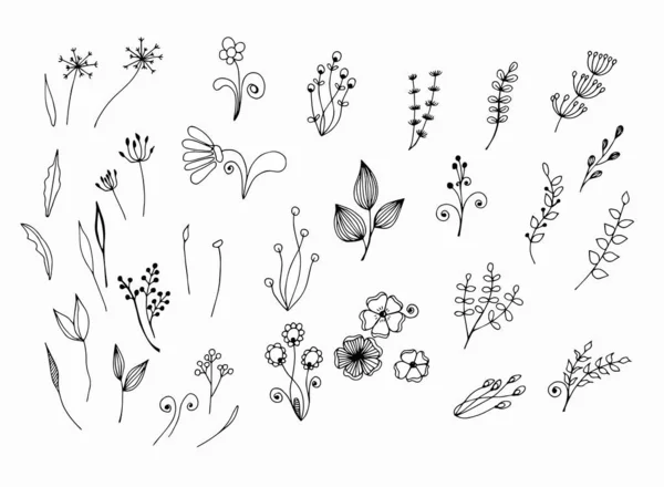 Ασπρόμαυρο Γραφικό Σχέδιο Μίσχων Λουλουδιών Φύλλων Χειροποίητο Σκίτσο Λευκό Απομονωμένο — Διανυσματικό Αρχείο