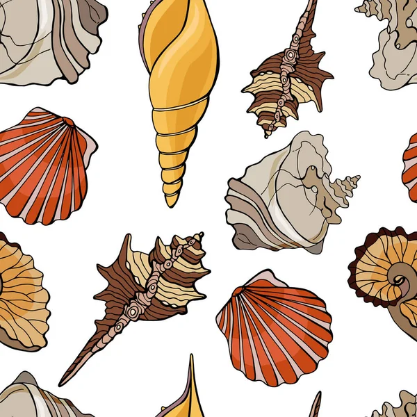 Seashells Padrão Sem Costura Fundo Branco Ilustração Estoque Desenhos Animados —  Vetores de Stock