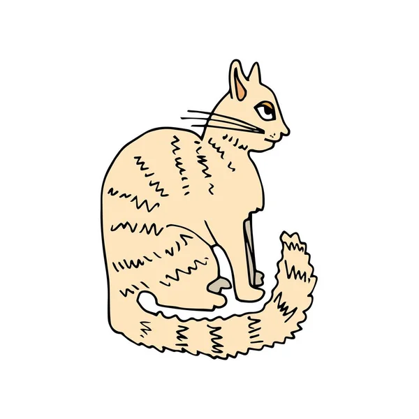 Beyaz Bir Arka Planda Profilde Oturan Kedi — Stok Vektör