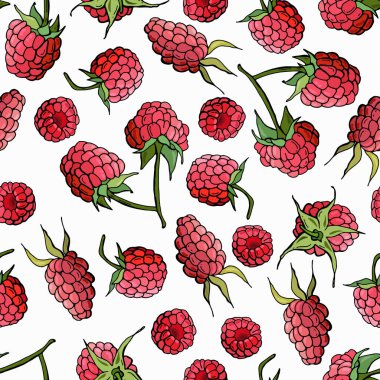 Beyaz izole bir arka planda kusursuz ahududu deseni. Çizgi film tarzı. Stok çizimi. Duvar kağıdı, kumaş, tekstil, ambalaj için tasarım.